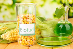 Cornard Tye biofuel availability